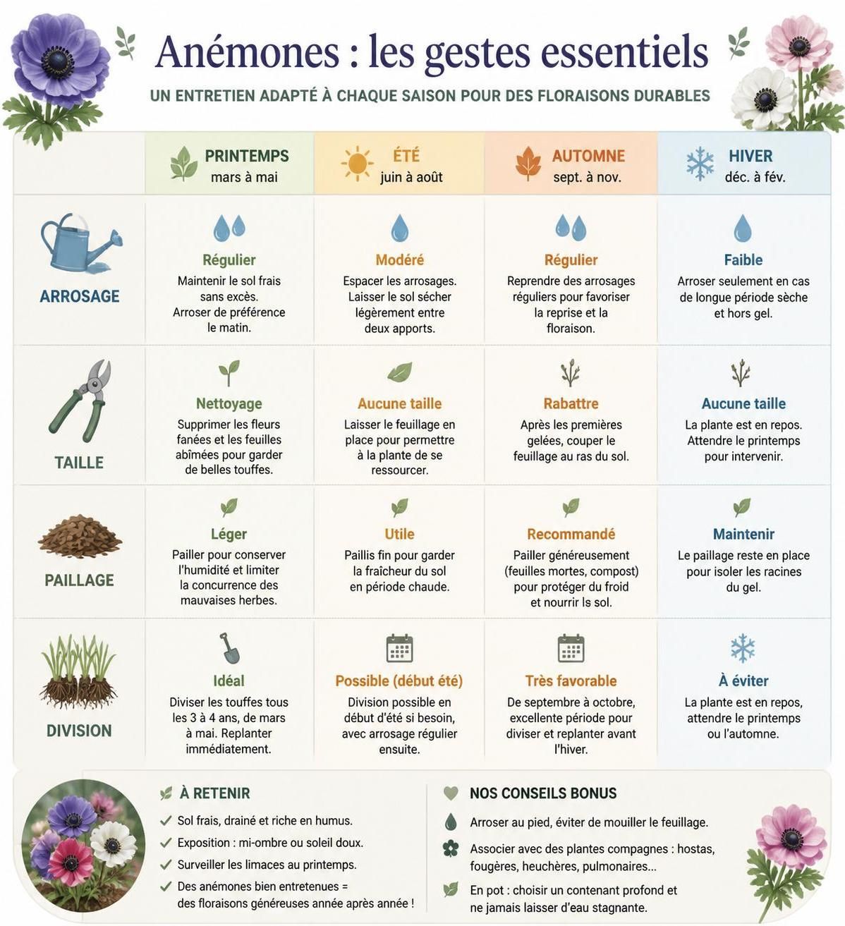 découvrez comment planter et entretenir les anémones pour profiter d'un jardin coloré du début de l'automne jusqu'au printemps. conseils pratiques pour un éclat floral durable.