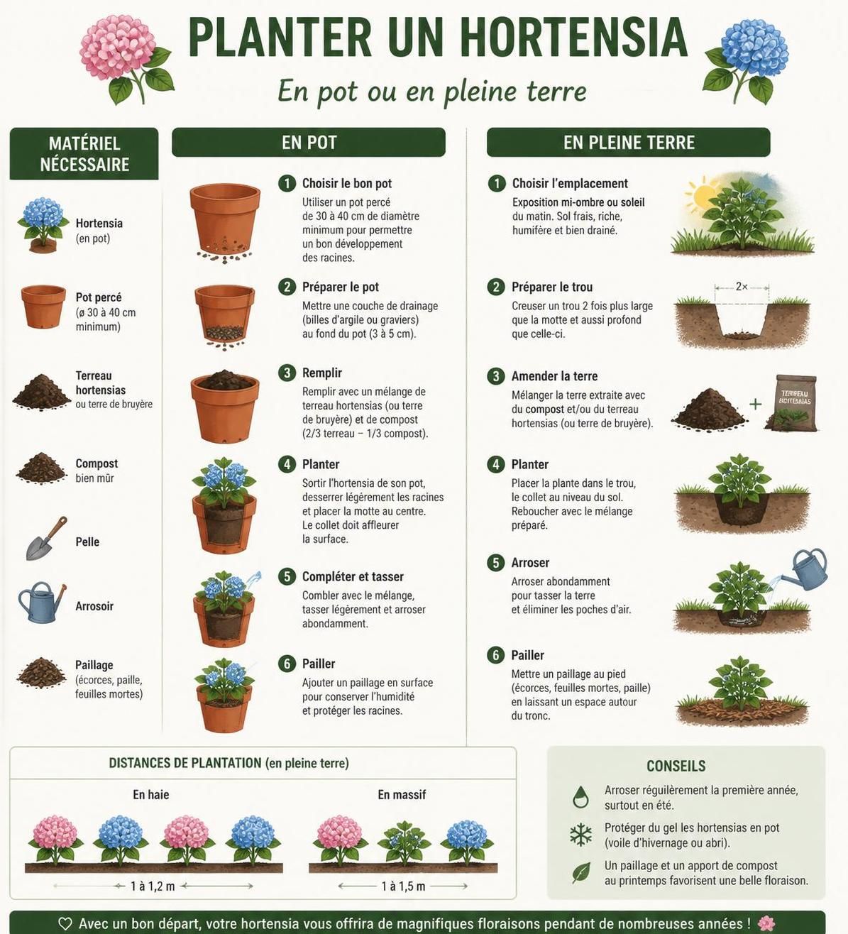 découvrez comment planter, entretenir et tailler les hortensias en fonction de leurs variétés pour un jardin fleurissant toute l'année.