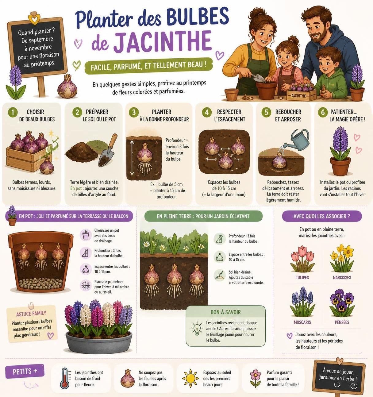 apprenez à planter et entretenir la jacinthe en pot ou en pleine terre pour profiter de ses fleurs parfumées du printemps. conseils pratiques pour réussir la floraison de ce bulbe coloré.