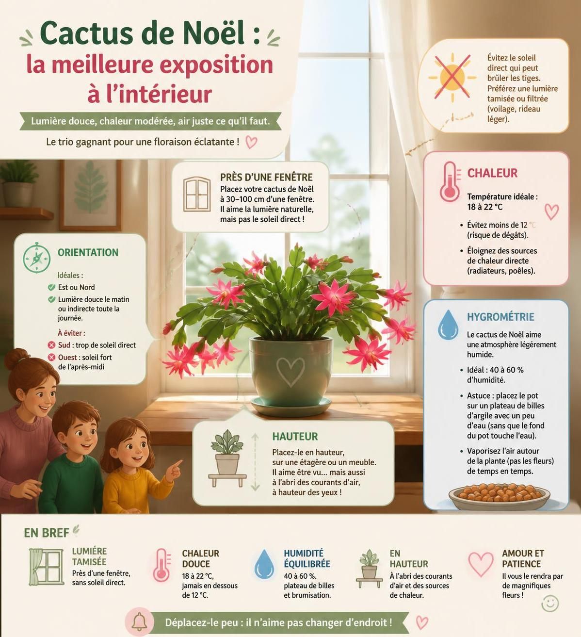 découvrez comment entretenir et arroser votre cactus de noël (schlumbergera) pour profiter d'une floraison éclatante grâce à nos conseils et astuces simples.