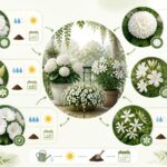 découvrez les plus belles fleurs blanches idéales pour votre jardin ou balcon, avec leurs besoins spécifiques en entretien pour un espace fleuri et élégant toute l'année.