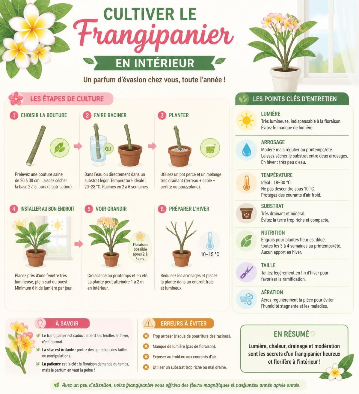 découvrez comment cultiver le frangipanier en intérieur ou en pleine terre en france et apportez une touche exotique à votre jardin ou votre intérieur.