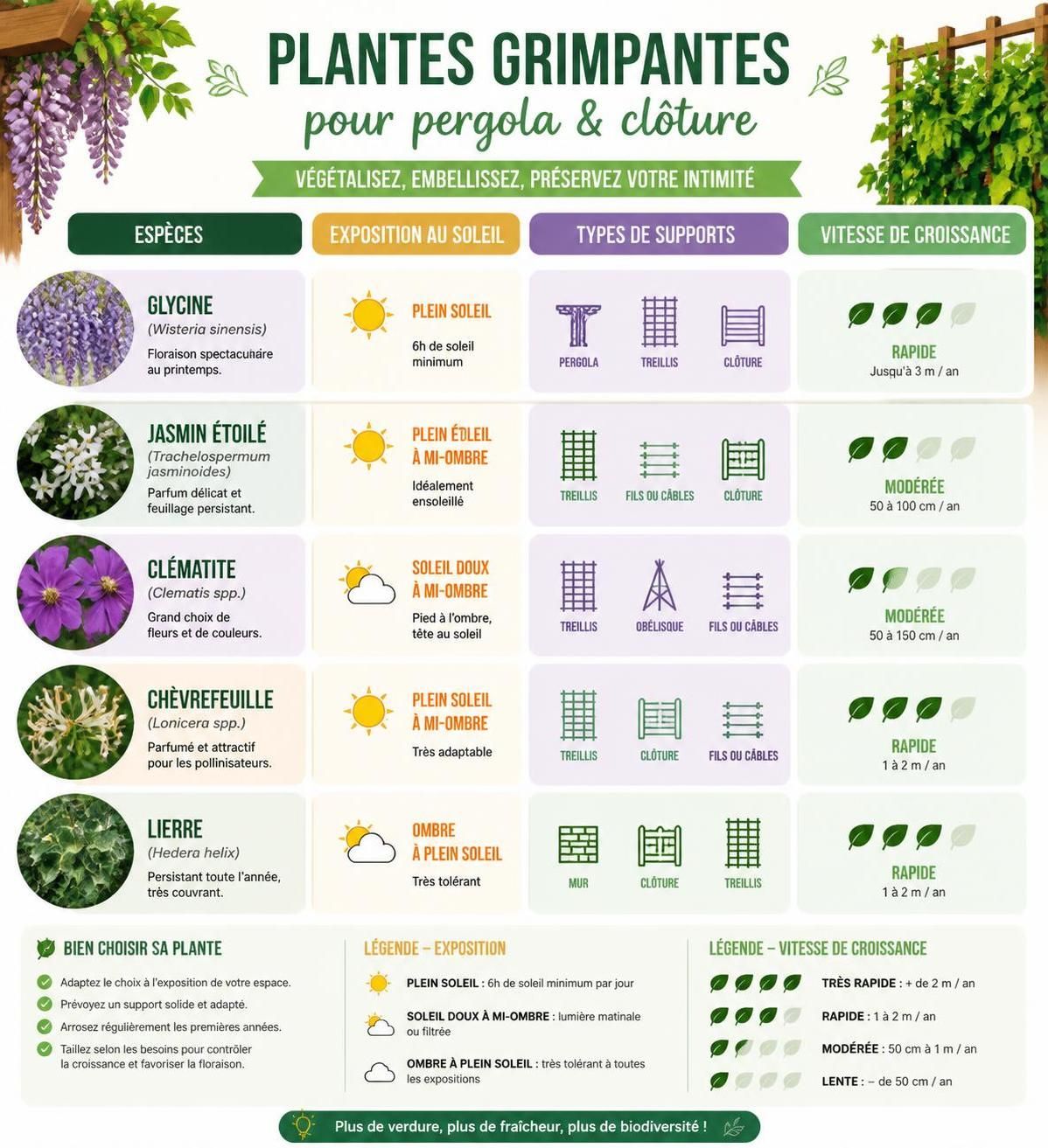 découvrez les meilleures plantes grimpantes pour habiller vos clôtures et pergolas, avec des conseils pratiques pour les guider et sublimer votre jardin.